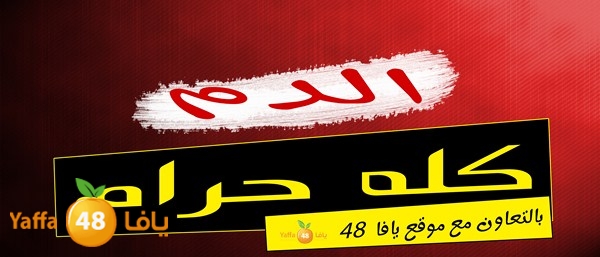 3onfyaffa48 (23).jpg